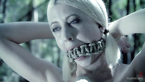 Sexy brunette hair with a sexy blonde